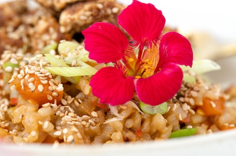 阿吉豆:中国传统美食的代表之一