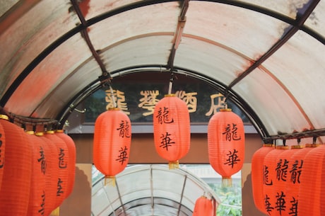 瓜尔佳文鸳：中国传统的珍贵文化遗产