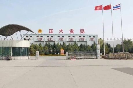 黑龙江正大实业有限公司，黑龙江正大实业有限公司在畜牧业中的领先地位
